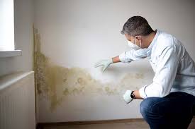 Mold Remediation for Vacation Homes in East Setauket, NY